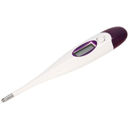 Termometro Digitale con Sonda Rigida