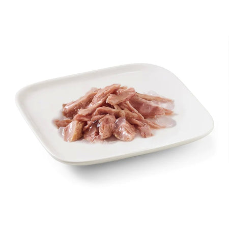 Schesir Jelly Adult Tonnetto Scatoletta per Cani Adulti 150gr