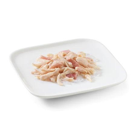 Schesir Jelly Adult Pollo con Prosciutto Scatoletta per Cani Adulti 150gr