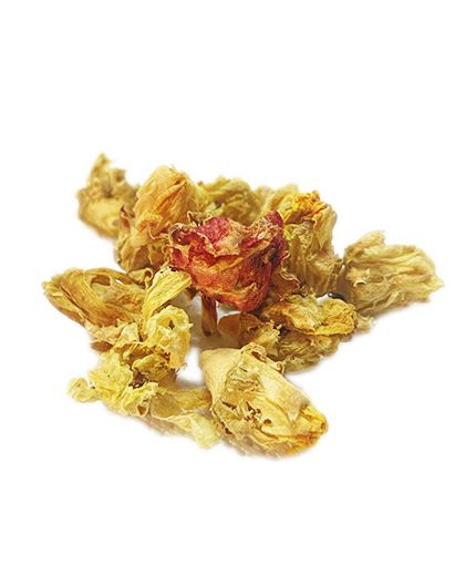 Tisana Fiori di Fico D’india Siciliani diuretiche infiammazioni urinarie, cistite da 50 e 100g