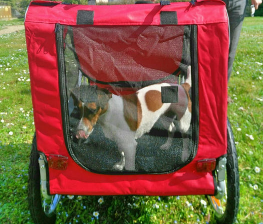 Dog Trailer Medium