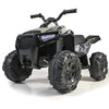 Quad boxer 12v - 800012541