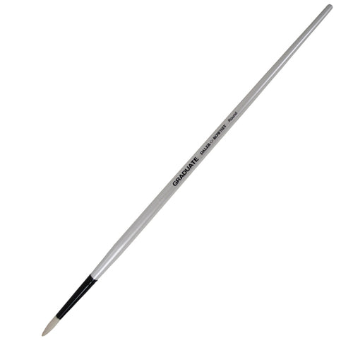 Pennello Setola Naturale Graduate Tondo Lungo N.6 Manico Lungo Daler Rowney