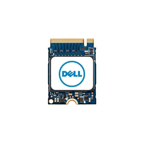 DELL AB292880 drives allo stato solido 256 GB M.2 PCI Express NVMe (DELL M.2PCIENVMECLASS352230 SSD-256G)