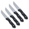 Coltelli da taglio carne in acciaio Inox set da 4