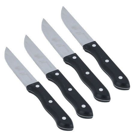 Coltelli da taglio carne in acciaio Inox set da 4