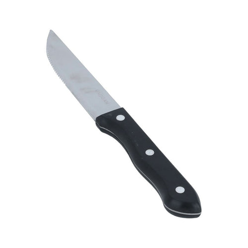 Coltelli da taglio carne in acciaio Inox set da 4