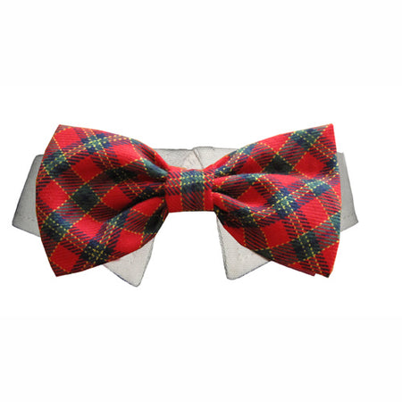 Collo con Papillon