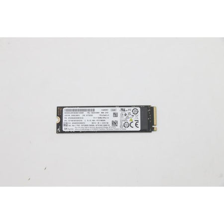 Lenovo 5SS0V26441 drives allo stato solido 256 GB M.2 PCI Express 3.0 (256G,M.2,2280,PCIe3x4,SKH,OP - Warranty: 3M)