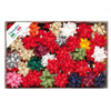 100 Stelle Rafia Sintetica 6802 14Mm Assortimento Natale Brizzolari