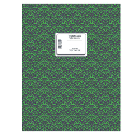 Registro Verbali Collegio Cindacale 96Pag Num.Uso Bollo 31X24,5Cm 2207A1200G