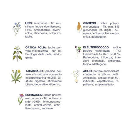 Vet Line LD Agnello per Cani Adulti 3kg