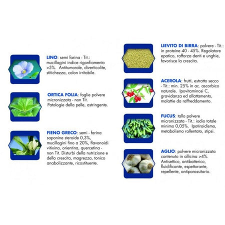 Vet Line LD Accrescimento Agnello per Cani Cuccioli 3kg