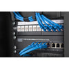 Digitus Alloggiamento a parete 254 mm [10] - 312x300 mm [LxP] (WALL MOUNTING CABINET 312X300MM - [10IN] 9U 464X312X300 MM BLACK)