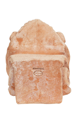 Biscottini Piedino Sottovaso TESTA LEONE Terracotta Toscana 18x28x20 Biscottini forma