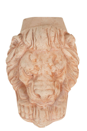 Biscottini Piedino Sottovaso TESTA LEONE Terracotta Toscana 18x28x20 Biscottini forma