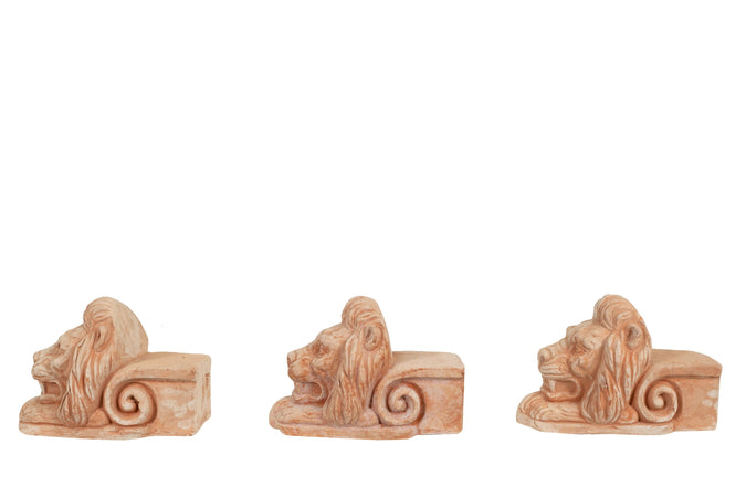 Biscottini Biscottini Set 3 Piedini Sottovaso Vaso TESTA LEONE Terracotta Toscana Antigelo