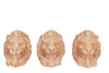 Biscottini Set 3 Piedini TESTA DI LEONE sottovaso per vasi in Terracotta Toscana 100% Made In Italy interamente Lavorata a Mano