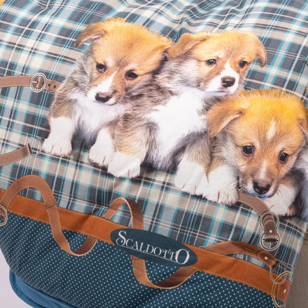 Scaldotto Cuccioli ! Caleffi Plid in Cotone Morbido Cm. 130x170, Tenerezza e Calore per i Tuoi Momenti