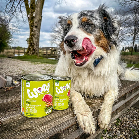 Wow Adult Manzo Scatoletta per Cani 400gr