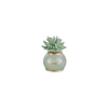 Lampada Bomboniera Corallo Verde Salvia Melaverde – Porcellana 10 cm