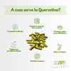 Elkopur Force Quercetina pura, 120 capsule da 500 mg. con 200 mg. di Quercetina titolata 98% in Quercetina, Vegetarian e Vegan ok, Rinforza il sistema immunitario, Antiossidante, prodotto in Italia