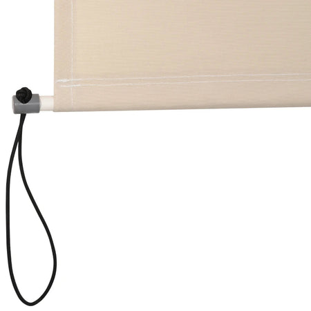 Tenda Avvolgibile Parasole con Manovella, Installazione a Muro o Soffitto, 120x200cm, Beige ZS4830-235CWZS4