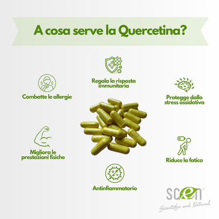 Elkopur Force Quercetina pura, 120 capsule da 500 mg. con 200 mg. di Quercetina titolata 98% in Quercetina, Vegetarian e Vegan ok, Rinforza il sistema immunitario, Antiossidante, prodotto in Italia