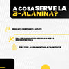Tutto2