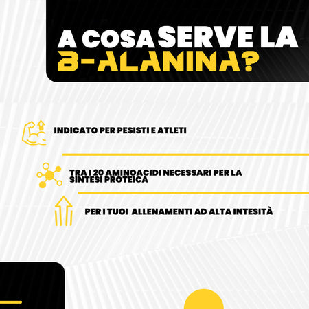 Tutto2