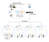Access Point PoE 2x2 AC Dual-Band Soffitto, CAP1200