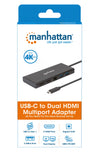 Adattatore USB-C SuperSpeed Multiporta a Doppia Porta HDMI