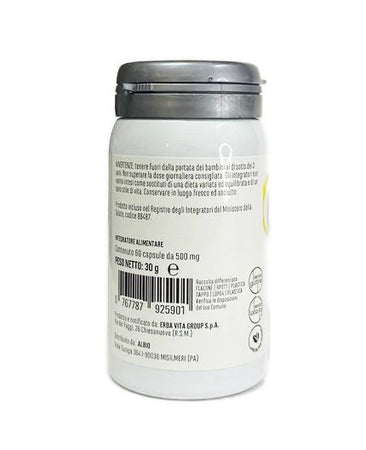 Agnocasto monoplanta 60 capsule utile per contrastare i disturbi del ciclo mestruale