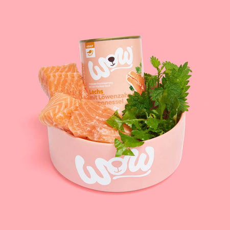 Wow Adult Salmone Scatoletta per Cani 400gr