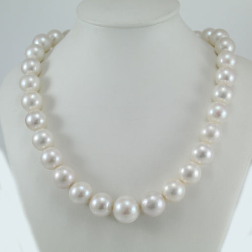 Collana donna Coscia con perle Edison Freshwater 11-14 mm