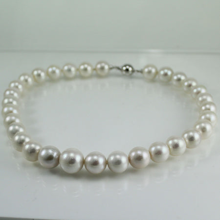 Collana donna Coscia con perle Edison Freshwater 11-14 mm