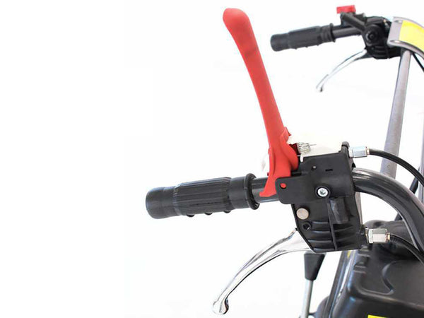 Motocarriola cingolata TAG 300T