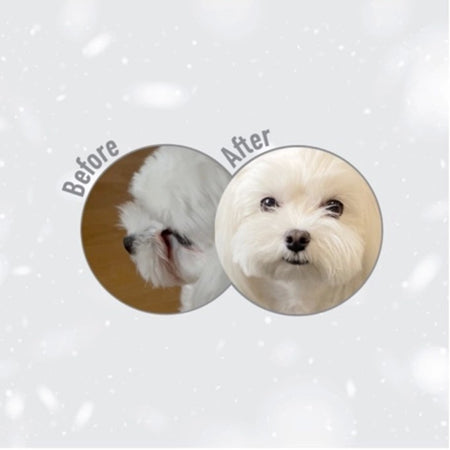 Nature's Protection White Dogs grain-free Adult Small e Mini breeds Pesce Bianco