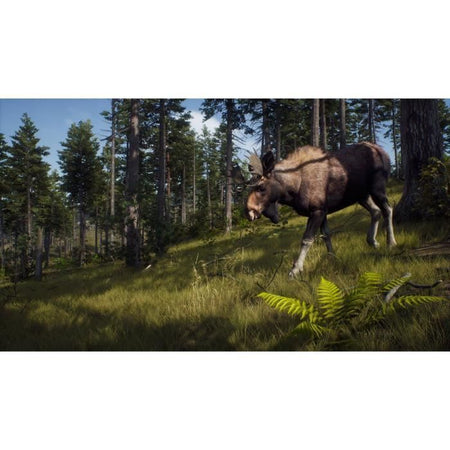La Via del Cacciatore Wild Expeditions - Serie Xbox
