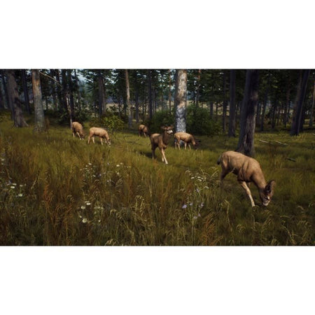 La Via del Cacciatore Wild Expeditions - Serie Xbox