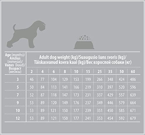 Nature's Protection White Dog grain-free Junior all breeds al Salmone 1.5 kg
