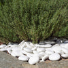 Sassi decorativi in plastica riciclata re-pebbles ciottoli antiusura da esterno ed interno