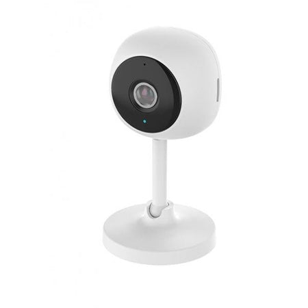 Smart Camera WiFi Full HD 2 MP Controllo Vocale Alexa Google, R4114