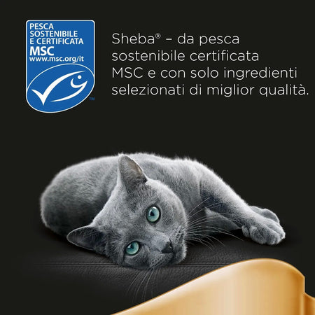 Sheba Delicatezze Selezione Filetti per Gatti 60x85gr Maxi Pack