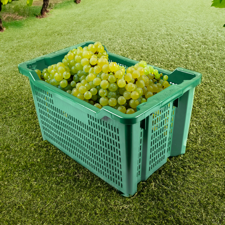 Cassetta agricola aperta impilabile 40L