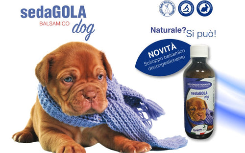 SedaGola Sciroppo per cani