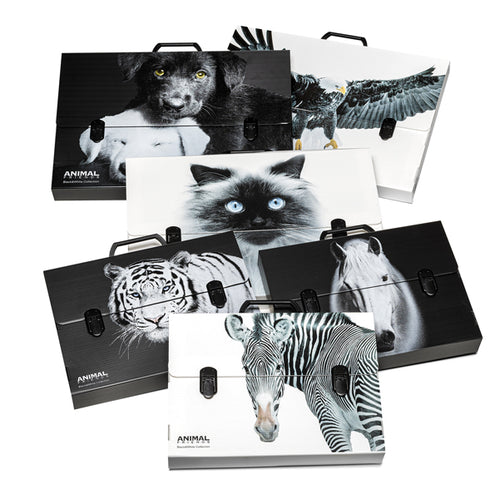 Valigetta Polionda Animal Friends 28X38 Dorso 5Cm Fantasie Assortite Colorosa
