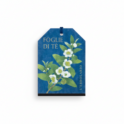 Filtro Multiuso Foglie di Tè