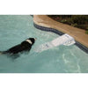 Rampa Risalita per cani da barca o piscina
