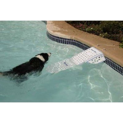 Rampa Risalita per cani da barca o piscina